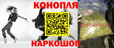 прущие грибы Комсомольск-на-Амуре