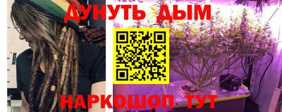 прущие грибы Комсомольск-на-Амуре