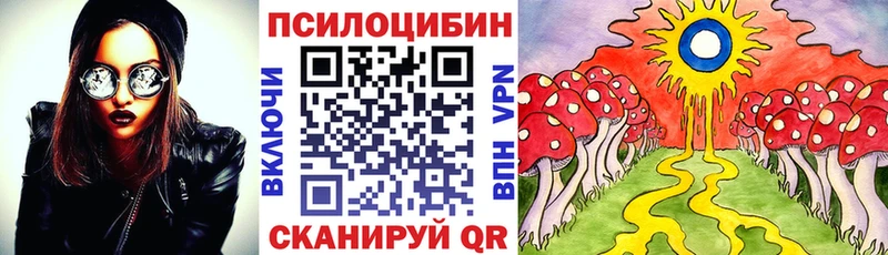 KRAKEN ссылки  Усть-Илимск  Псилоцибиновые грибы мицелий 