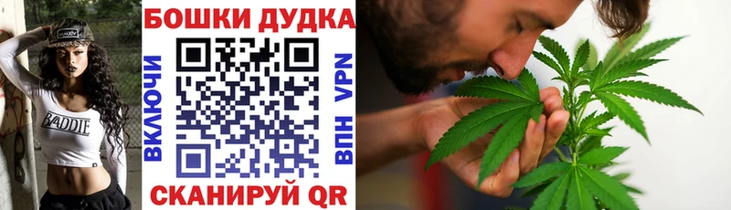 Бошки Шишки семена  где купить наркоту  Усть-Илимск 